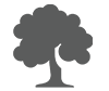 Gestão Ambiental<br />

