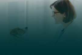 Especialização em Clínica e Cirurgia de Pequenos Animais